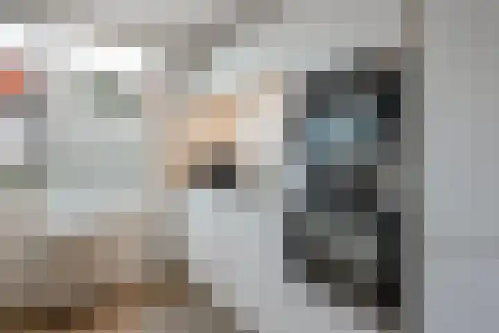 Pijlkruid 17 Diemen thumbnail 23