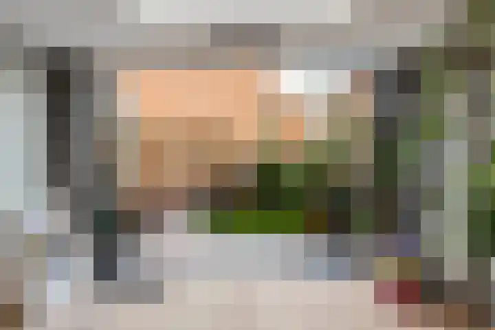 Pijlkruid 17 Diemen thumbnail 25