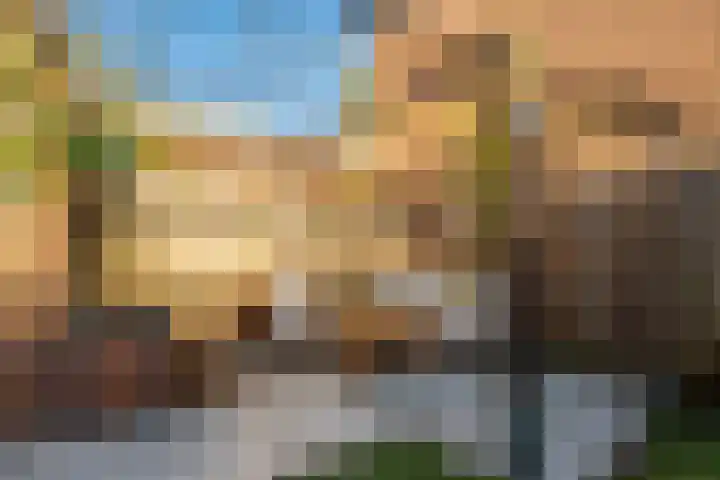 Pijlkruid 17 Diemen thumbnail 28