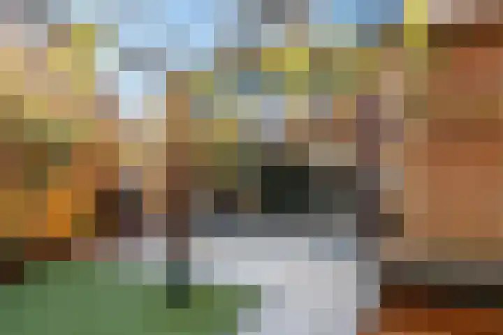 Pijlkruid 17 Diemen thumbnail 29