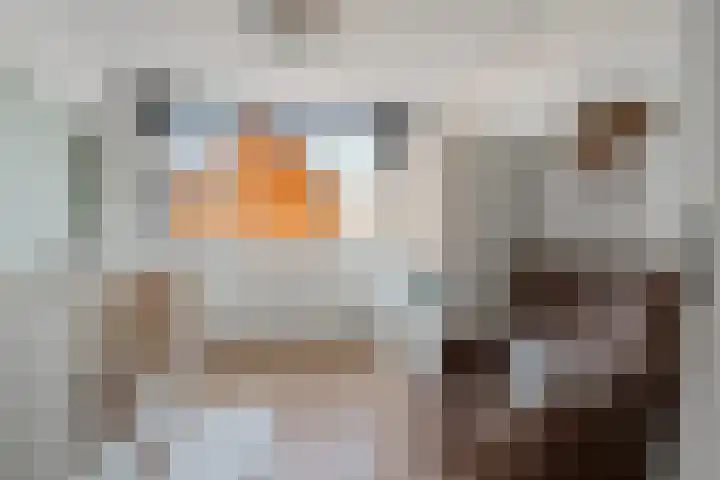 Pijlkruid 17 Diemen thumbnail 34