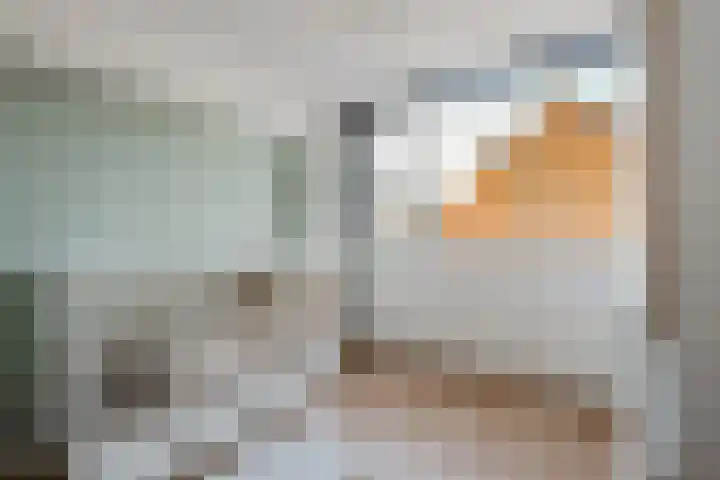 Pijlkruid 17 Diemen thumbnail 36