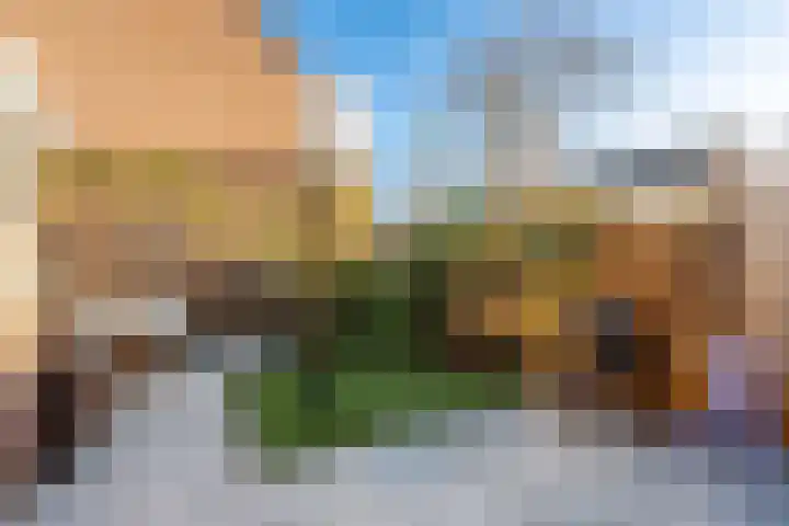 Pijlkruid 17 Diemen thumbnail 4