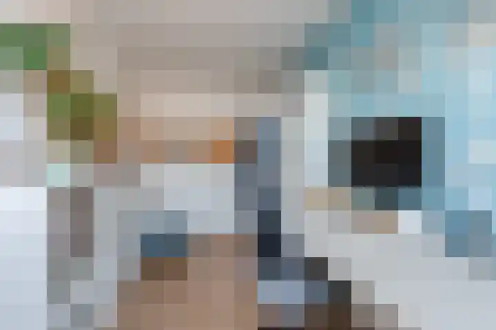 Pijlkruid 17 Diemen thumbnail 46