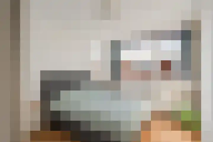 Pijlkruid 17 Diemen thumbnail 5