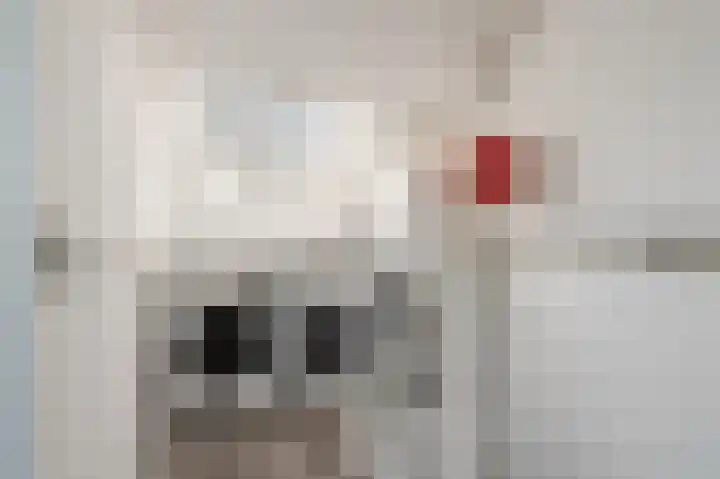 Pijlkruid 17 Diemen thumbnail 50
