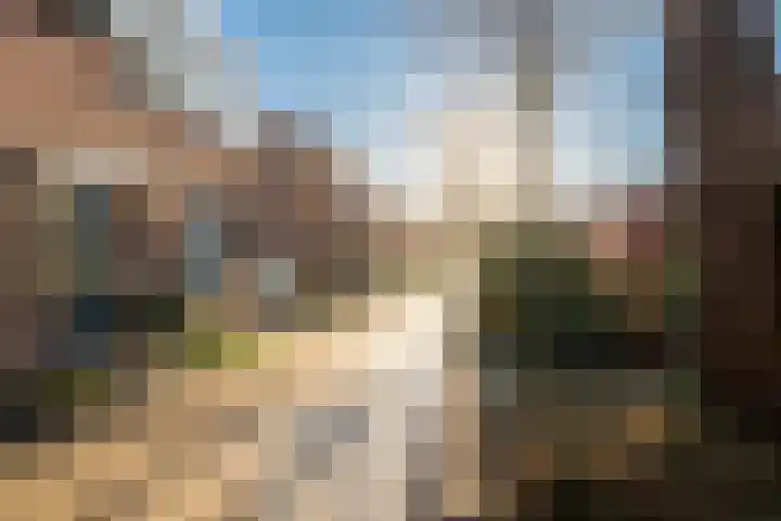 Pijlkruid 17 Diemen thumbnail 54