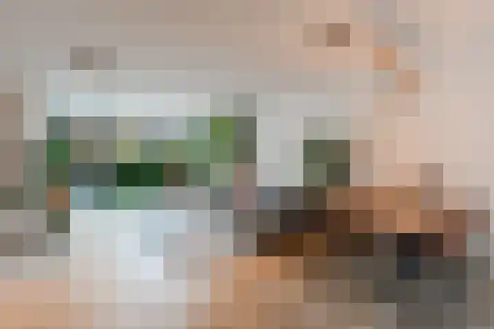 Pijlkruid 17 Diemen thumbnail 7