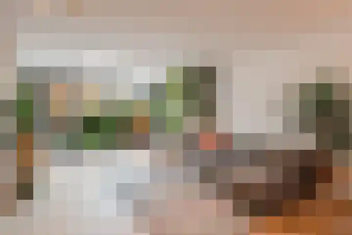 Pijlkruid 17 Diemen thumbnail 8