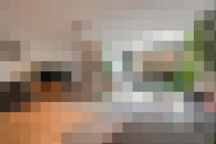Pijlkruid 17 Diemen thumbnail 9