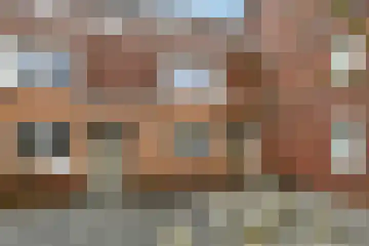 Pijlkruid 18 Elst