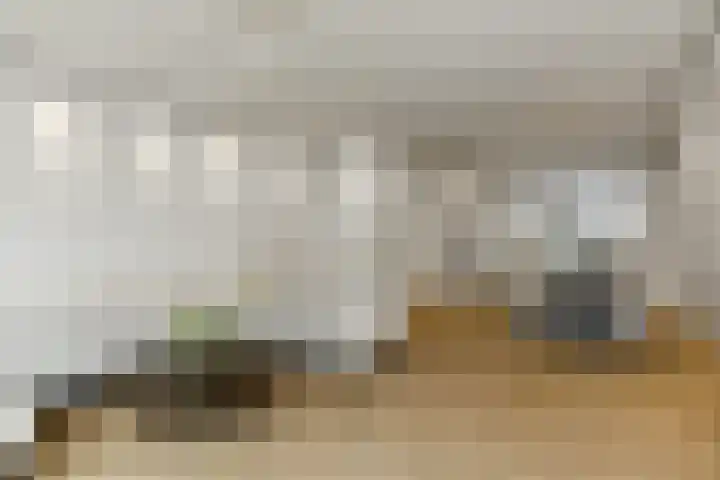 Pijlkruid 18 Elst thumbnail 10