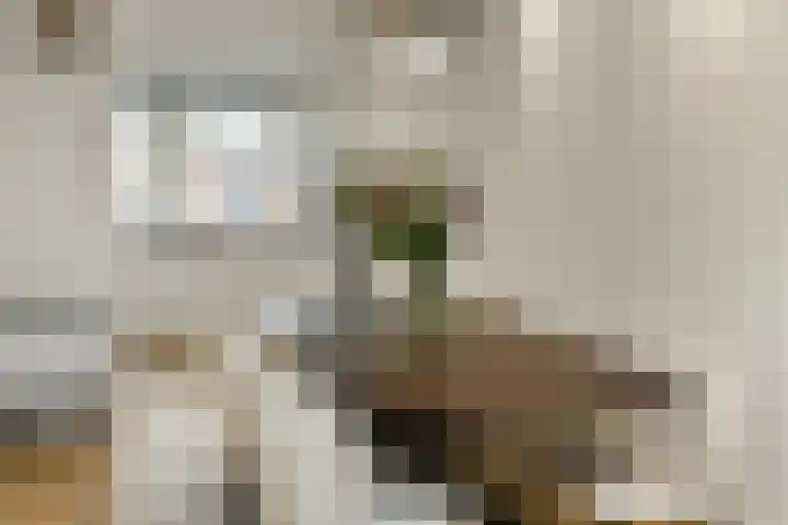 Pijlkruid 18 Elst thumbnail 14