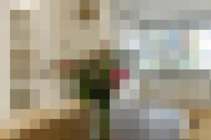 Pijlkruid 18 Elst thumbnail 15
