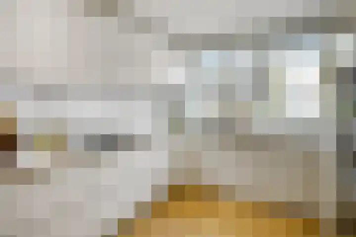 Pijlkruid 18 Elst thumbnail 17