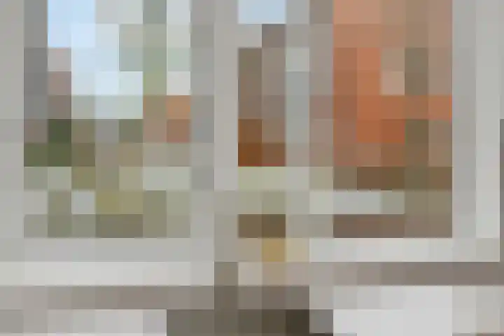 Pijlkruid 18 Elst thumbnail 22
