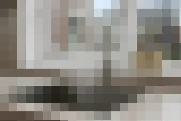 Pijlkruid 18 Elst thumbnail 23