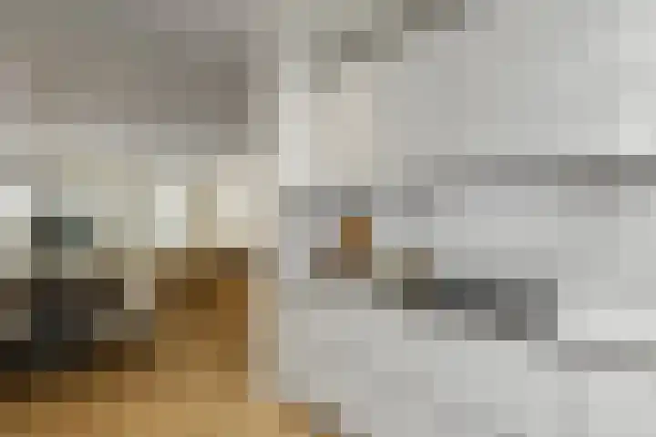 Pijlkruid 18 Elst thumbnail 24