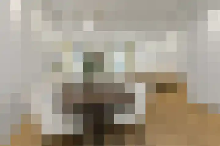 Pijlkruid 18 Elst thumbnail 25