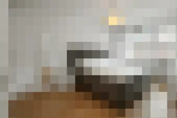 Pijlkruid 18 Elst thumbnail 26