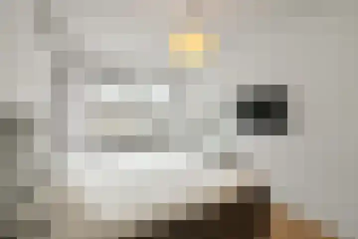 Pijlkruid 18 Elst thumbnail 27
