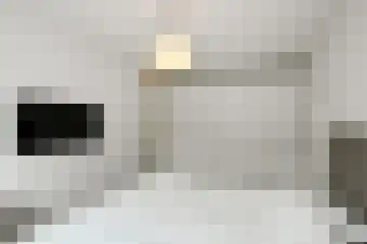 Pijlkruid 18 Elst thumbnail 28