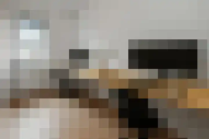 Pijlkruid 18 Elst thumbnail 29