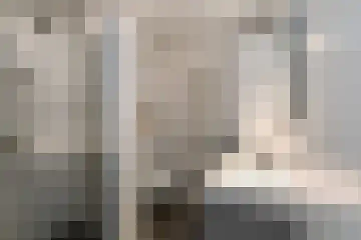Pijlkruid 18 Elst thumbnail 32