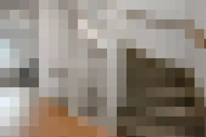 Pijlkruid 18 Elst thumbnail 36