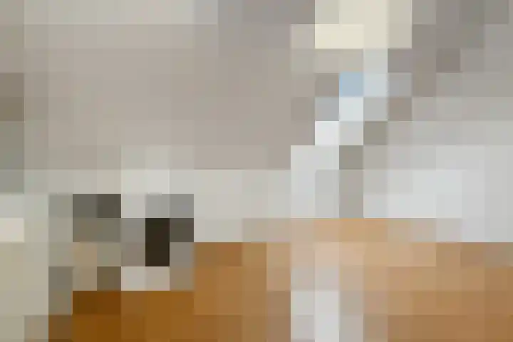 Pijlkruid 18 Elst thumbnail 37