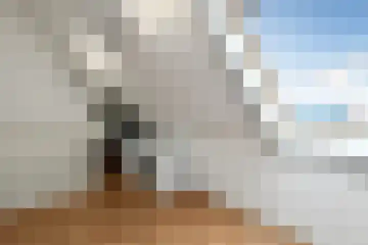 Pijlkruid 18 Elst thumbnail 38
