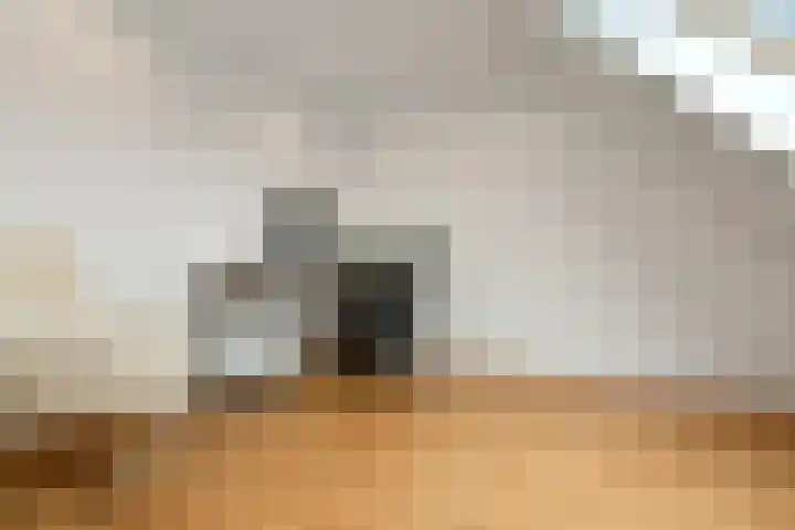Pijlkruid 18 Elst thumbnail 40