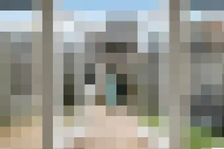 Pijlkruid 18 Elst thumbnail 43