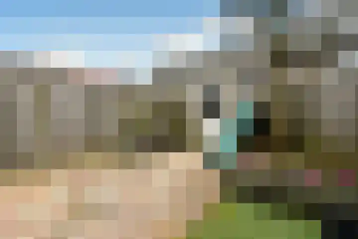 Pijlkruid 18 Elst thumbnail 45