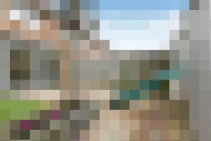 Pijlkruid 18 Elst thumbnail 46