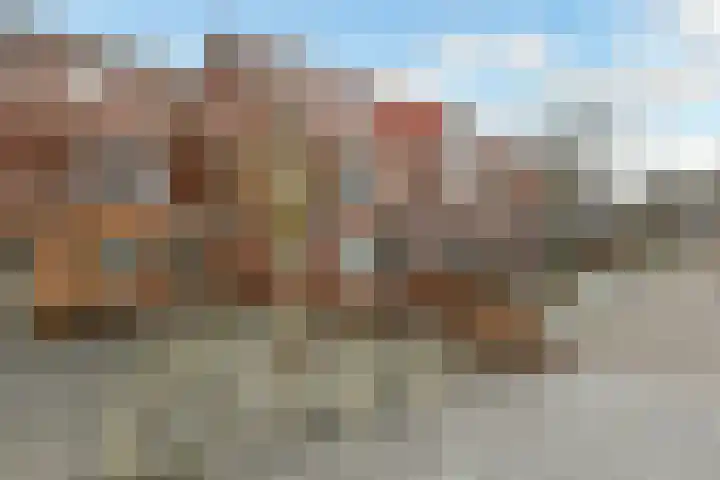 Pijlkruid 18 Elst thumbnail 48