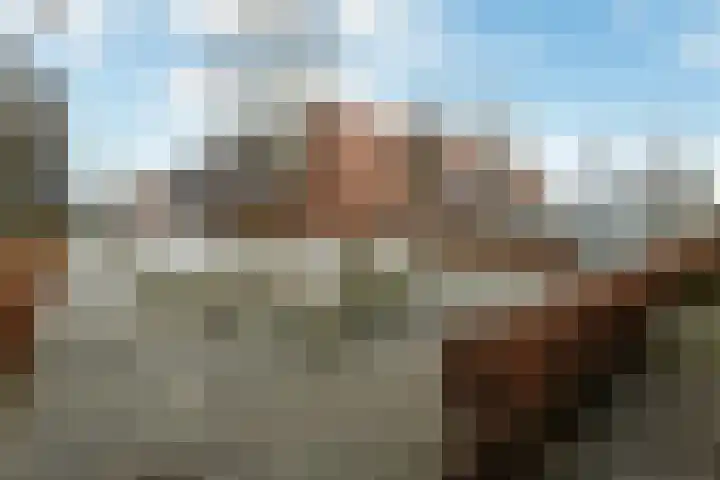 Pijlkruid 18 Elst thumbnail 50