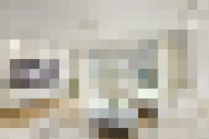 Pijlkruid 18 Elst thumbnail 7