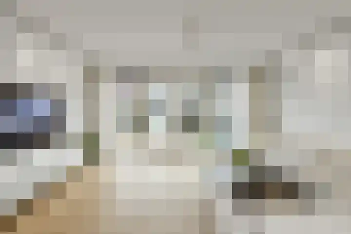 Pijlkruid 18 Elst thumbnail 8