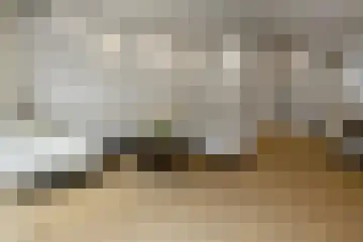 Pijlkruid 18 Elst thumbnail 9