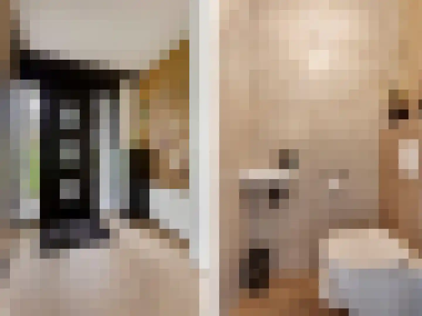 Pijlkruid 19 Elburg thumbnail 13