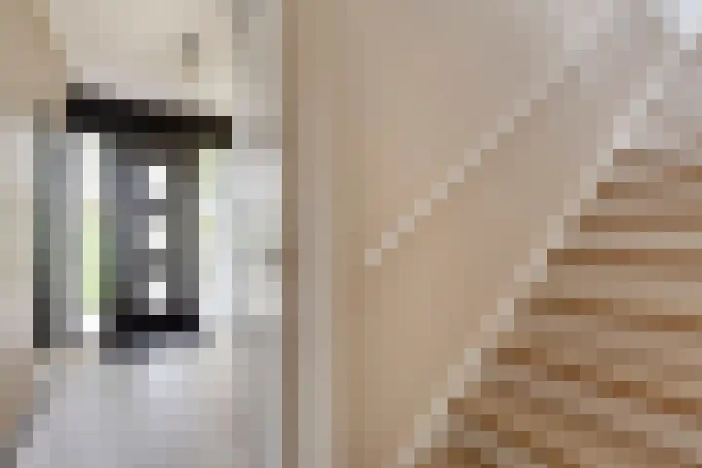 Pijlkruid 19 Elburg thumbnail 14