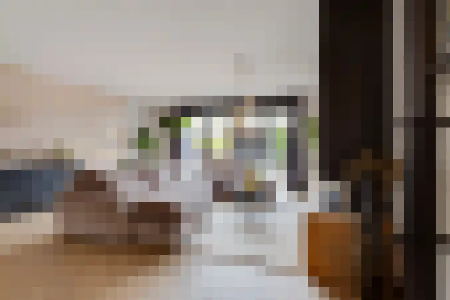 Pijlkruid 19 Elburg thumbnail 15