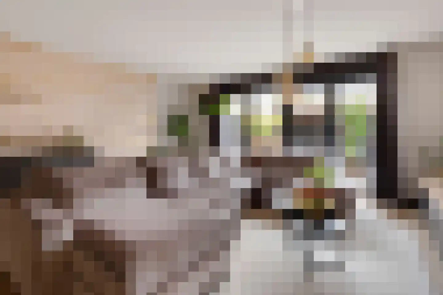 Pijlkruid 19 Elburg thumbnail 16