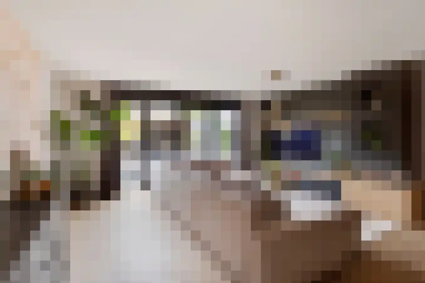 Pijlkruid 19 Elburg thumbnail 17