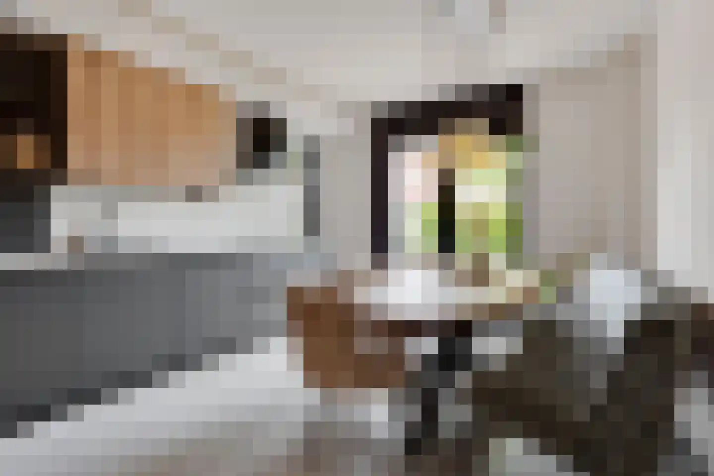 Pijlkruid 19 Elburg thumbnail 20