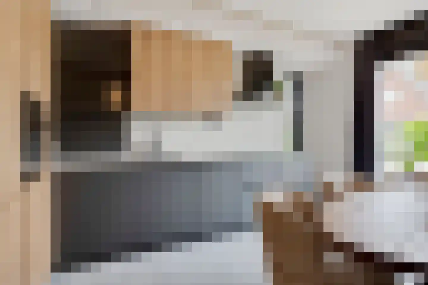 Pijlkruid 19 Elburg thumbnail 21