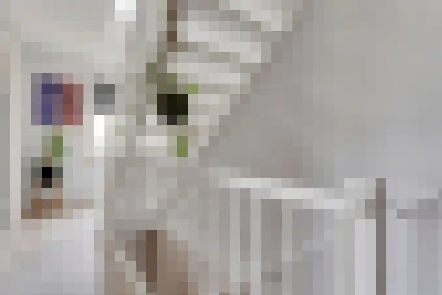 Pijlkruid 19 Elburg thumbnail 25
