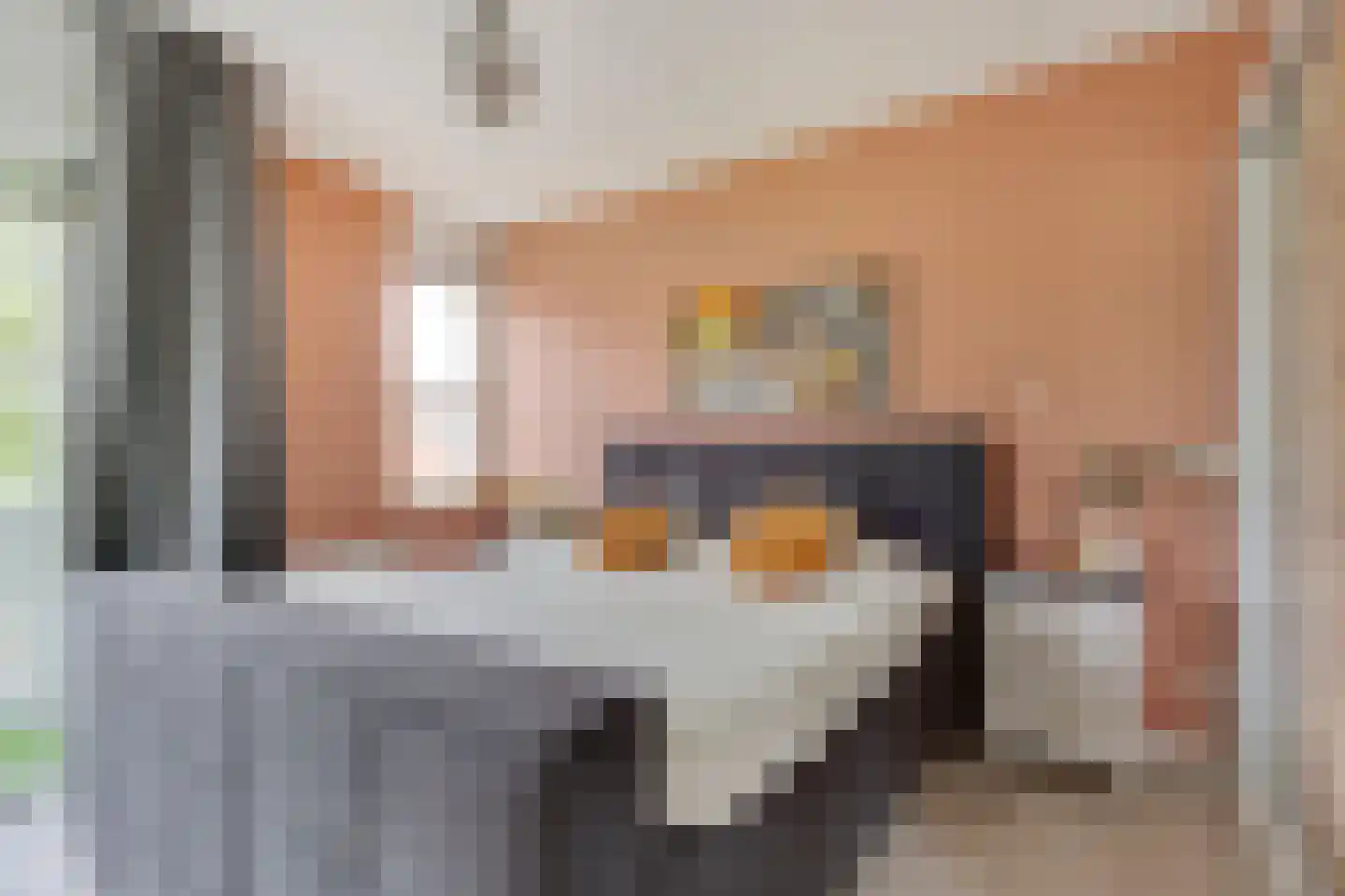 Pijlkruid 19 Elburg thumbnail 28