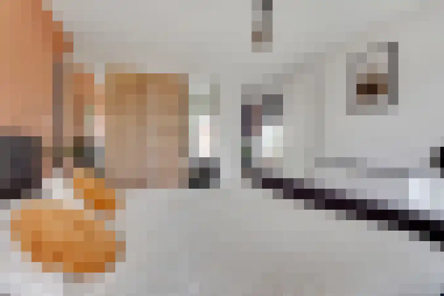 Pijlkruid 19 Elburg thumbnail 30